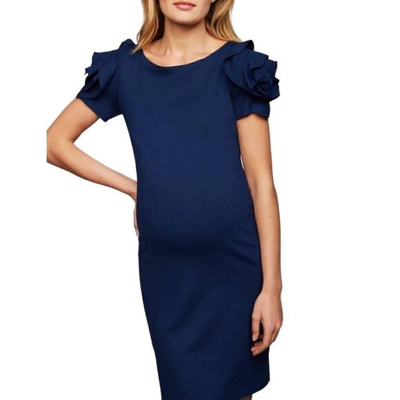 Pietro Brunelli Salisburgo Maternity Dress Designer Rosette Blue Women's Small - Picture 1 of 8